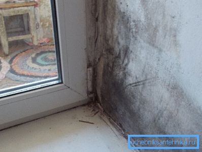 Това е красива картина, нали? Това е красива картина, нали?