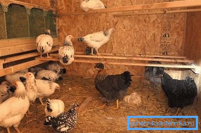 Природната опция е подходяща за малки стаи Природната опция е подходяща за малки стаи