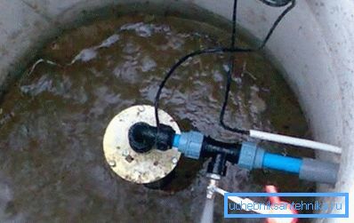 Аматьорски снимки и кладенци Аматьорски снимки и кладенци