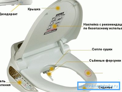 В снимката - основните елементи на В снимката - основните елементи на