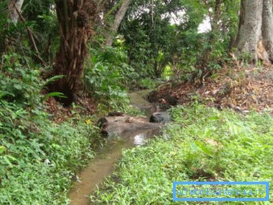 Въпреки видимата близост на водата, пробиването в тази низина не си заслужава. Въпреки видимата близост на водата, пробиването в тази низина не си заслужава.