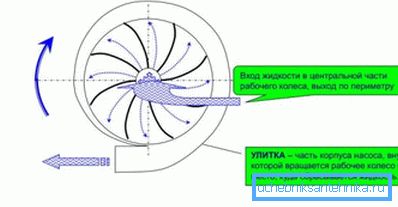 Принципът на действие на центробежните помпи. Принципът на действие на центробежните помпи.