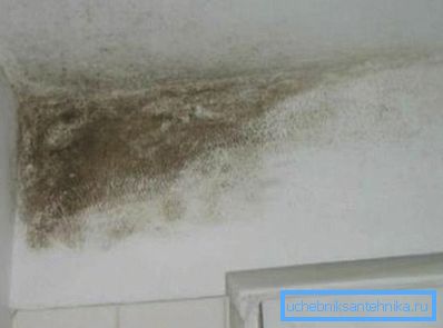 Възпроизвеждането на мухъл е резултат от лошата циркулация на въздуха в апартамента. Възпроизвеждането на мухъл е резултат от лошата циркулация на въздуха в апартамента.