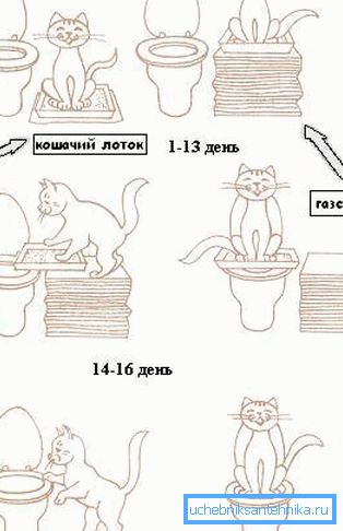 Схема за формиране на умения Схема за формиране на умения