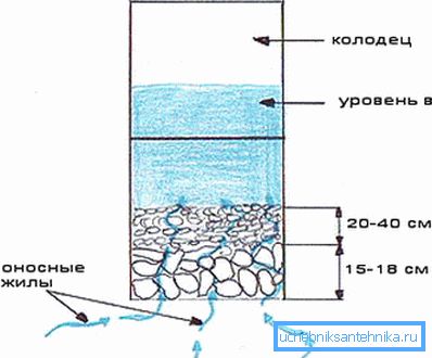 Схема устройства дна Схема устройства дна