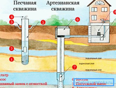 Уелс в задния двор Уелс в задния двор