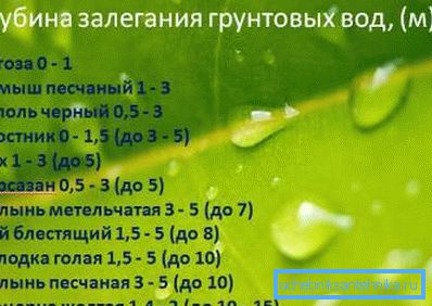 Таблица на дълбочината на подземните води в метри, в зависимост от растенията на повърхността Таблица на дълбочината на подземните води в метри, в зависимост от растенията на повърхността